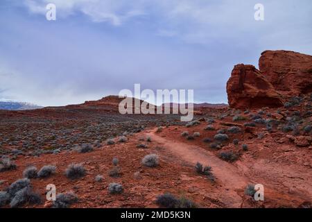 Chuckawalla und Turtle Wall Trail Wüstenwanderungen mit Blick auf Cliffs National Conservation Area Wilderness, Snow Canyon State Park St George, Utah, United Sta Stockfoto