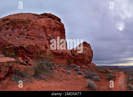 Chuckawalla und Turtle Wall Trail Wüstenwanderungen mit Blick auf Cliffs National Conservation Area Wilderness, Snow Canyon State Park St George, Utah, United Sta Stockfoto