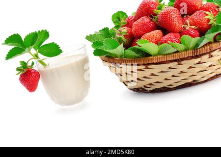 Schmackhafte Erdbeeren in einem Korb und MilchSmoothies, isoliert auf weißem Hintergrund. Geben Sie Platz für Text frei. Stockfoto