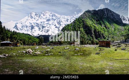 Tiere grasen vor dem Nanga Parbat, dem 9. Höchsten Berg der Erde Stockfoto