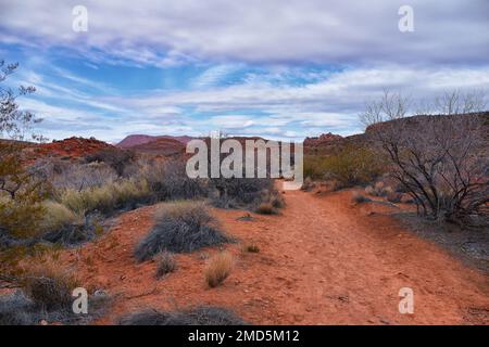 Chuckawalla und Turtle Wall Trail Wüstenwanderungen mit Blick auf Cliffs National Conservation Area Wilderness, Snow Canyon State Park St George, Utah, United Sta Stockfoto