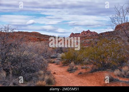 Chuckawalla und Turtle Wall Trail Wüstenwanderungen mit Blick auf Cliffs National Conservation Area Wilderness, Snow Canyon State Park St George, Utah, United Sta Stockfoto