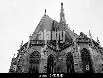 Wien, Österreich, 2019. Dezember: Stephansdom Domkirche Stephansdom Stockfoto