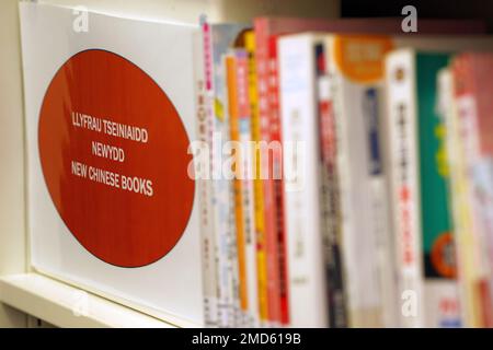 Die Spines of New Chinese Books in der Cardiff Central Library, Cardiff, Wales Stockfoto