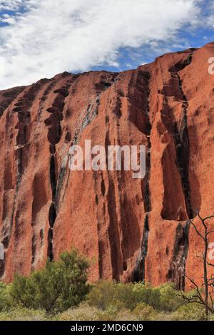 425 steile vertikale Klippen und dunkle Algenwasserzeichen von mehrstufigen trockenen Wasserfällen am Uluru-Ayers Rock. NT-Australien. Stockfoto