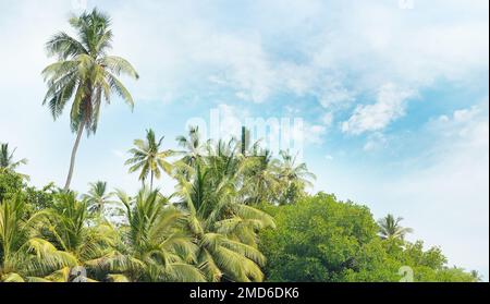 Der äquatorialen Wald und Boote auf dem See Stockfoto