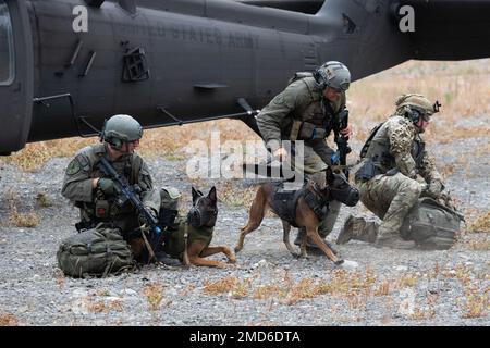 Spezialwaffen und Taktik (SWAT) der Polizei von Anchorage K-9-Teams verlassen einen Alaska Army National Guard UH-60L Black Hawk auf der Joint Base Elmendorf-Richardson, Alaska, 13. Juli 2022. Die ausgedehnten und strengen Ausbildungsbereiche von JBER boten den idealen Rahmen für örtliche Einsatzteams der Strafverfolgungsbehörden, da sie ihre Fähigkeiten im ländlichen Bereich, Aufgabenplanung, Aufklärung, Sicherheitsverfahren für Hubschrauber, Landnavigation, Team-Bewegung und Patrouille. Stockfoto