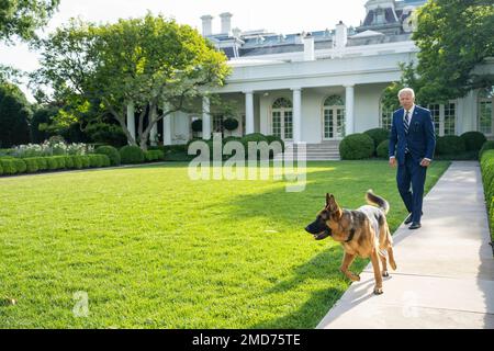 Reportage: Präsident Joe Biden geht Dienstag, den 21. Juni 2022, mit seinem Hund Commander im Rosengarten des Weißen Hauses spazieren. Stockfoto