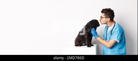 Schöner Arzt Tierarzt Prüfung schwarzen Mops, Tierarzt küssen und streicheln niedlichen Hund, weißer Hintergrund Stockfoto