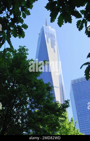 Das One World Trade Center in der Fulton Street 285 in Lower Manhattan, New York City, NY, USA, liegt im Grünen Stockfoto