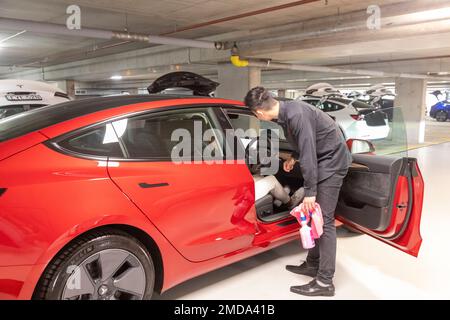 Tesla Model 3 Lady Woman holt ihr brandneues Fahrzeug bei Tesla ab und erhält bei der Übergabe in Australien von einem Tesla Mitarbeiter eine Einweisung in das Elektrofahrzeug Stockfoto