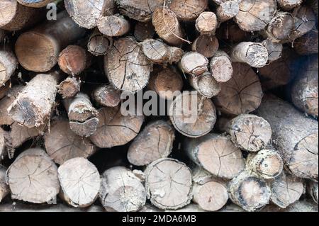 Stack mit alten Logs. Holzmaterial zum Heizen bereitet die Verbrennung im kalten Winter vor. Stockfoto