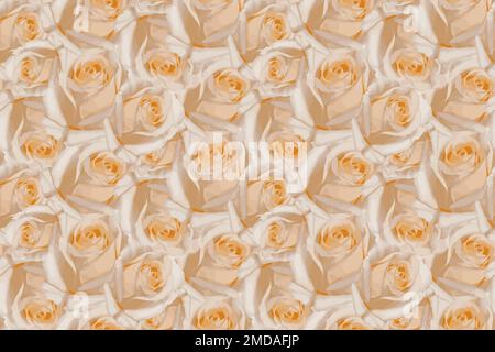 Wunderschöne nahtlose Pfirsichrosenblüten im Hintergrund. Blühende zarte Rosen auf blühenden Blumen festlicher Hintergrund, Pastelltöne und weiches Blumenstrauß Stock Vektor