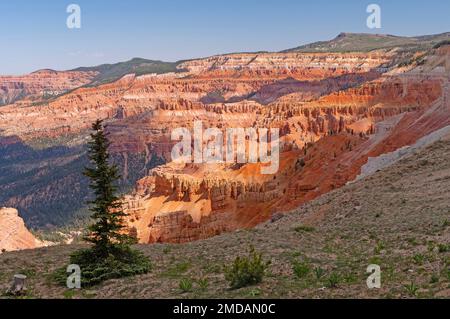 Schatten und Sonne am farbenfrohen Canyon am Cedar Breaks National Monument in Utah Stockfoto