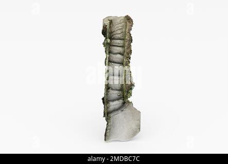 Verdeckte Treppe, 3D-Darstellung, minimales Rendering auf weißem Hintergrund. Stockfoto