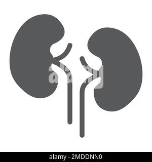 Symbol für Nierenglyphen, Anatomie und Biologie, Urologie, Vektorgrafiken, ein ausgefülltes Muster auf weißem Hintergrund, 10. Stock Vektor