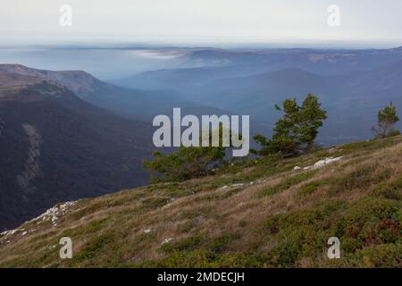 Blick auf die Berge in Pastellblau. Sanft verschwommener natürlicher atmosphärischer Hintergrund. Nebel-tief-Wolken-Gleitschirm in der Ferne. Fabelhaftes hellblaues Morgenhaus Stockfoto