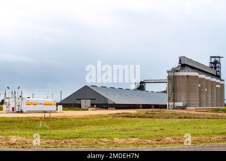 Die GrainCorp Silos und der Kornbunker in Nevertire im Zentralwesten von New South Wales, Australien Stockfoto