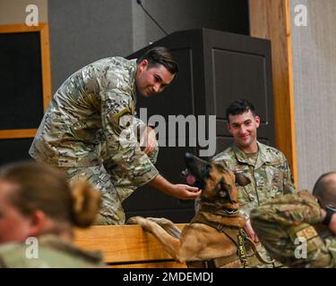 USA Air Force Staff Sergeant Charles Gaines, 47. Sicherheitsgeschwader, arbeitender Hundeführer, Haustiere MWD Beta am Luftwaffenstützpunkt Laughlin, Texas, am 22. Juli 2022. Militärisch arbeitende Hundepfleger bilden ihre Hundebegleiter persönlich in Strafverfolgungsmaßnahmen aus. Stockfoto