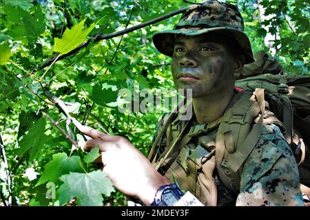 Hospital Corpsman 3. Klasse Brian Gutierrez, 2. Bataillon, 24. Marines, führt am 22. Juli 2022 eine Kontaktpatrouille mit anderen Sanitätern und Marines durch, während der Ausbildung auf der Nordpost in Fort McCoy, Wisconsin. Das 2/24 ist ein Infanteriebataillon aus Chicago, bestehend aus etwa 1.000 Marines und Matrosen. Das Bataillon untersteht dem 23. Marineregiment und der 4. Marine Division. Die 2/24 wird jährlich in Fort McCoy ausgebildet. (Fotos von Scott Sturkol, Fort McCoy Public Affairs Office) Stockfoto