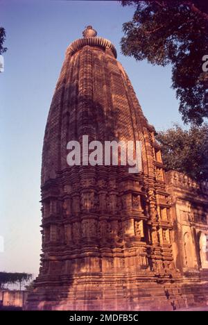 Die Khajuraho-Gruppe von Denkmälern ist eine Gruppe von Hindu- und Jain-Tempeln im Chhatarpur-Viertel, Madhya Pradesh, Indien. Sie liegen etwa 175 km südöstlich von Jhansi, 10km km von Azad Nagar Khajwa, 9km km von Rajnagar und 49 km vom Bezirkssitz Chhatarpur entfernt. Sie gehören zum UNESCO-Weltkulturerbe. Erbaut im mittelalterlichen Jahrhundert von der Chandela-Dynastie, ist die UNESCO-Stätte der „Khajuraho-Gruppe von Denkmälern“ berühmt für ihre Architektur im Nagara-Stil und anmutige Skulpturen von Nayikas (hinduistische mythologische weibliche Protagonisten) und Gottheiten. Stockfoto