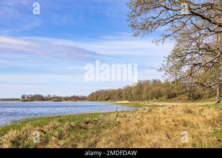 Seeufer in einer wunderschönen sonnigen Landschaft im Frühling Stockfoto