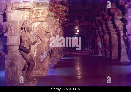 Der Thillai Nataraja Tempel, auch bekannt als Chidambaram Nataraja Tempel, ist ein hinduistischer Tempel, der Nataraja gewidmet ist, die Form von Shiva als herr des Tanzes. Dieser Tempel befindet sich in Chidambaram, Tamil Nadu, Indien. Dieser Tempel hat antike Wurzeln und ein Shiva-Schrein existierte an dem Ort, als die Stadt als Thillai bekannt war. Das einzigartigste Merkmal des Nataraj-Tempels ist das mit Juwelen verzierte Bild von Nataraj. Stockfoto