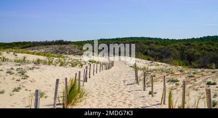 Zugang zum Sand, Zaun, Strandeingangspanorama zum atlantik im Le Porge Ozean frankreich Stockfoto