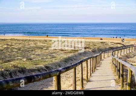 Zugang zum Ozean Sandweg Zaun Holz zum Ozeanstrand atlantikküste am talmont saint hilaire vendee France Stockfoto