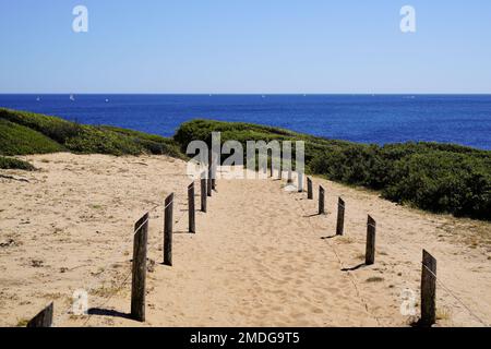 Zugang zum Küstenwasser Sanddünen-Pfad zum Meeresstrand atlantikküste Vendee Talmont-Saint-Hilaire in Frankreich Stockfoto
