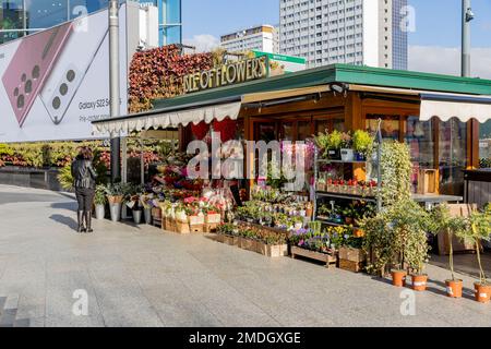 Acton Vale, London, Fotografie In Der Umgebung Stockfoto