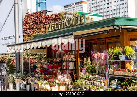 Acton Vale, London, Fotografie In Der Umgebung Stockfoto