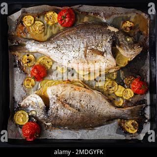 Gebackener dorado-Fisch mit Gemüse auf Backpapier. Draufsicht, oben Stockfoto