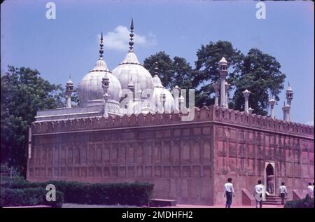 Die Moschee wurde vom Mogul-Kaiser Aurangzeb im Red Fort Complex in Delhi, Indien, von 1659-1660 für seine 2. Frau Nawab Bai erbaut. Das Moti Masjid ( lit. „Perlenmoschee“) ist eine weiße Marmormoschee im Red Fort Complex. Ist eine aus dem 17. Jahrhundert stammende Gemeindemoschee im UNESCO-Weltkulturerbe Agra Fort. Stockfoto