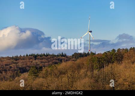 Landschaft mit einer einzigen Windturbine und vielen Bäumen in einem gemischten Wald zur Erzeugung nachhaltiger Energie in Deutschland Stockfoto