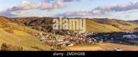 Panoramablick auf den Wald und das Weinbergtal über Criesbach in Hohenlohekreis, Deutschland Stockfoto