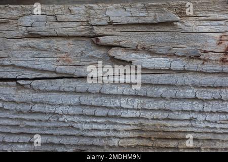 Verwitterter Holzbalken mit ausgeprägter Körnung - Textur, Muster Stockfoto