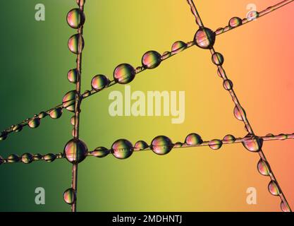 Muster und Farben, die durch Lichtbrechung in Wassertröpfchen entstehen Stockfoto