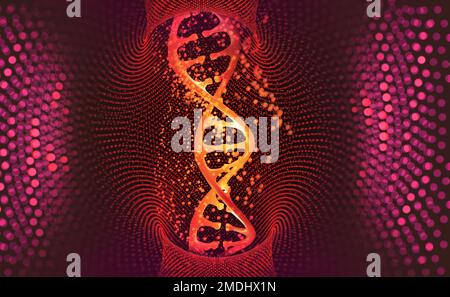 DNA. Forschungsmolekül. Wissenschaftlicher Durchbruch in der Humangenetik. 3D Illustration Analyse des Strukturgenoms Stockfoto