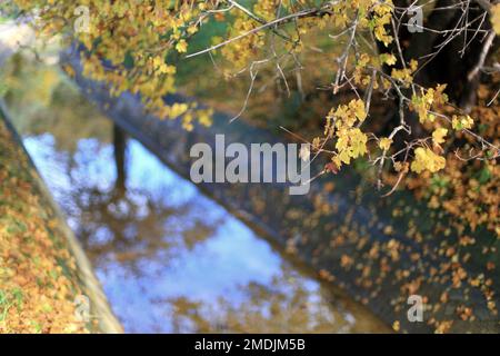 Canal de la Siagne, Alpes Maritimes, 06, Cote d'Azur, Frankreich Stockfoto