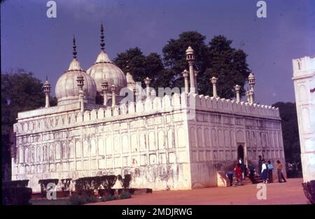 Die Moschee wurde vom Mogul-Kaiser Aurangzeb im Red Fort Complex in Delhi, Indien, von 1659-1660 für seine 2. Frau Nawab Bai erbaut. Das Moti Masjid ( lit. „Perlenmoschee“) ist eine weiße Marmormoschee im Red Fort Complex. Ist eine aus dem 17. Jahrhundert stammende Gemeindemoschee im UNESCO-Weltkulturerbe Agra Fort. Stockfoto