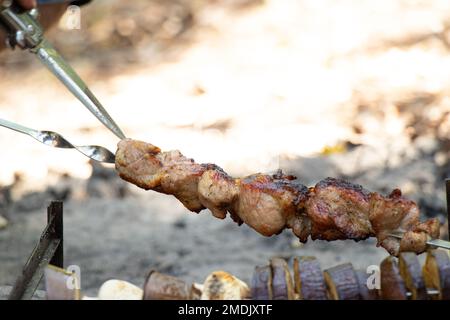 Gebratener Schischebab am Feuer im Wald beim Picknick auf den Spiessen, gebratener Schischebab in der Natur, Fleisch Stockfoto