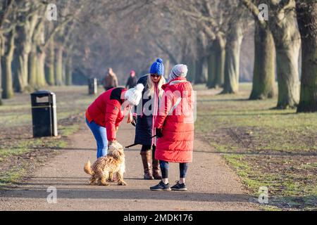 Northampton, Großbritannien. 23. Januar 2023 Ein kalter, frostiger Morgen im Abington Park mit Leuten, die mit ihren Hunden spazieren gehen, gut eingepackt gegen das kalte Wetter. Kredit: Keith J. Smith./Alamy Live News Stockfoto