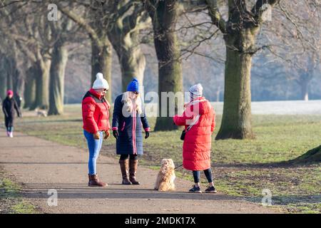 Northampton, Großbritannien. 23. Januar 2023 Ein kalter, frostiger Morgen im Abington Park mit Leuten, die mit ihren Hunden spazieren gehen, gut eingepackt gegen das kalte Wetter. Kredit: Keith J. Smith./Alamy Live News Stockfoto