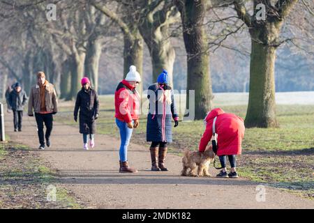 Northampton, Großbritannien. 23. Januar 2023 Ein kalter, frostiger Morgen im Abington Park mit Leuten, die mit ihren Hunden spazieren gehen, gut eingepackt gegen das kalte Wetter. Kredit: Keith J. Smith./Alamy Live News Stockfoto