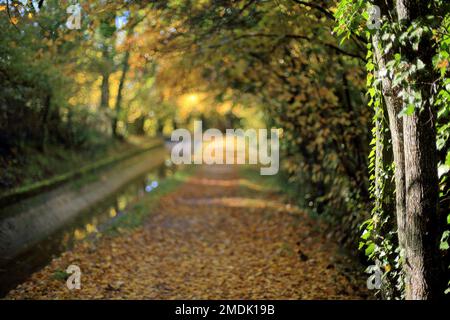 Canal de la Siagne, Alpes Maritimes, 06, Cote d'Azur, Frankreich Stockfoto