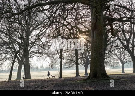 Northampton, Großbritannien. 23. Januar 2023 Ein kalter, frostiger Morgen im Abington Park mit Leuten, die mit ihren Hunden spazieren gehen, gut eingepackt gegen das kalte Wetter. Kredit: Keith J. Smith./Alamy Live News Stockfoto