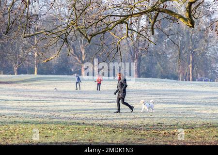 Northampton, Großbritannien. 23. Januar 2023 Ein kalter, frostiger Morgen im Abington Park mit Leuten, die mit ihren Hunden spazieren gehen, gut eingepackt gegen das kalte Wetter. Kredit: Keith J. Smith./Alamy Live News Stockfoto