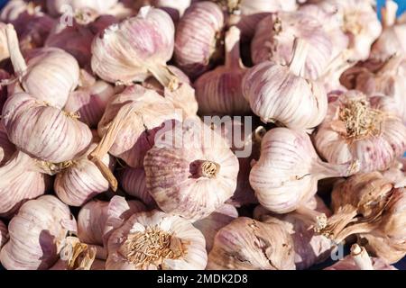 Kroatien, Zagreb, Knoblauch in Dolac Markt zu verkaufen. Stockfoto