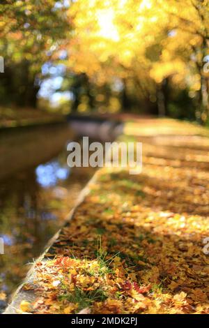 Canal de la Siagne, Alpes Maritimes, 06, Cote d'Azur, Frankreich Stockfoto